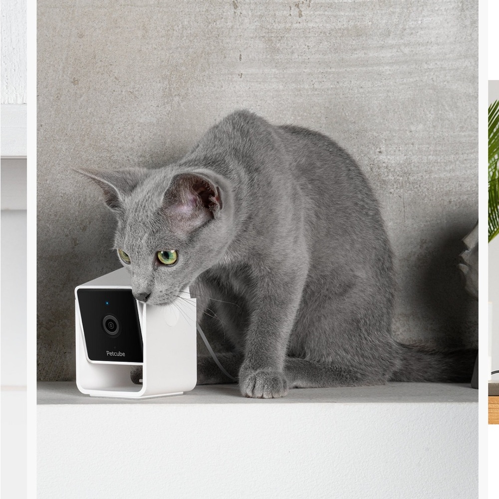 PETCUBE - Picture 5 of 5
